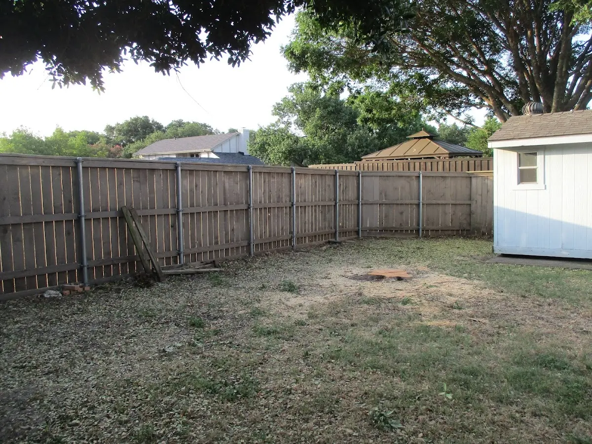 Cleared yard after professional tree removal in Medinah
