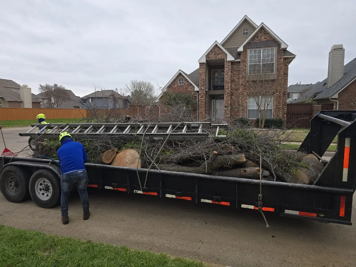 Expert Tree Fertilization with proper safety equipment in Medinah
